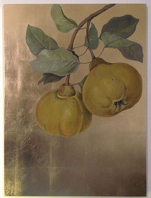 Atelier Wandlungen, Berlin - Quitten auf Gold
